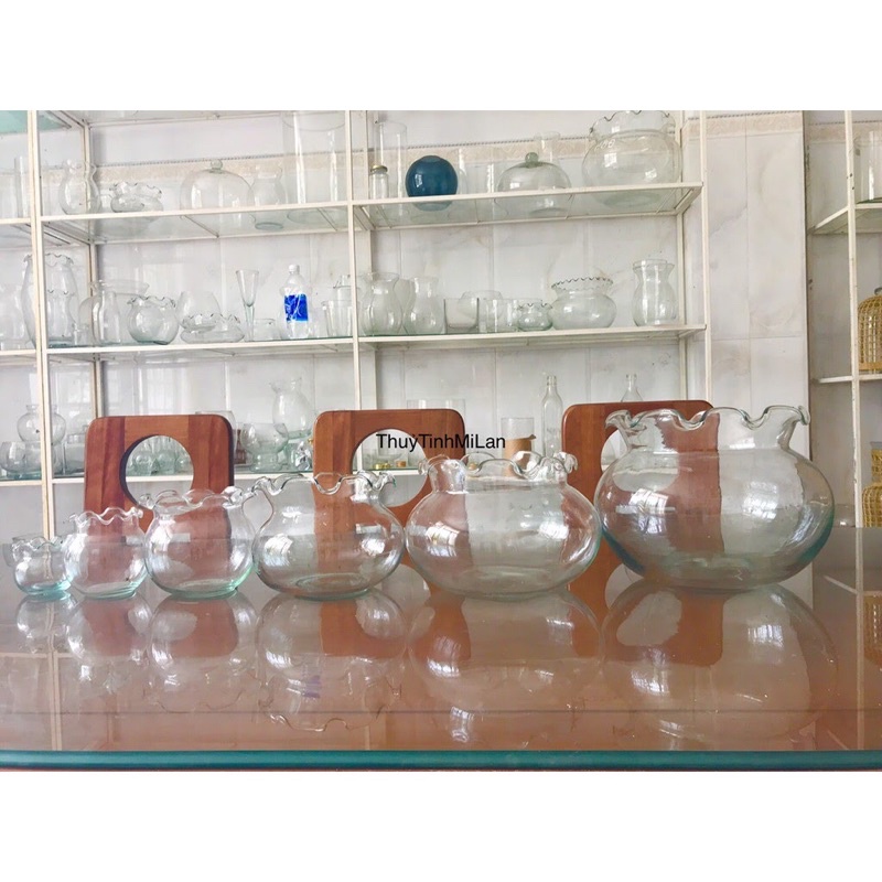 HỒ CÁ THỦY TINH, CHẬU TRỒNG CÂY ĐỂ BÀN PHONG THỦY