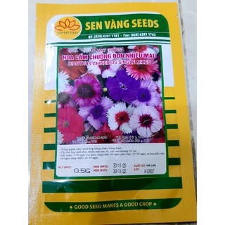 Hạt giống Cẩm chướng đơn mix nhiều màu bịch 0.5 gr