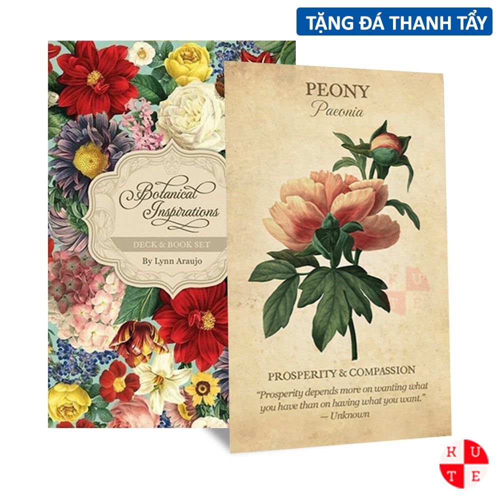 Bài Oracle Botanical Inspiration 44 Lá Tặng File Tiếng Anh Và Đá Thanh Tẩy C189