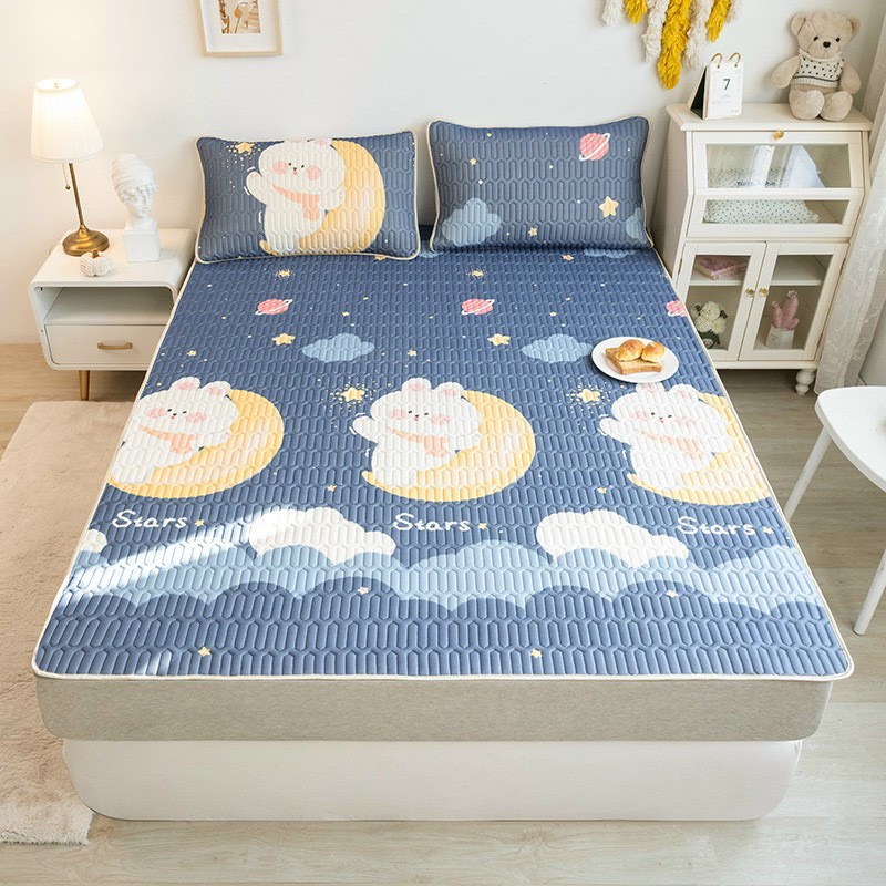 Chiếu điều hòa cao su non tencel 2D nhập khẩu, Chất liệu tencel và mủ cao su thoáng mát tặng kèm 2 vỏ gối đủ size nệm