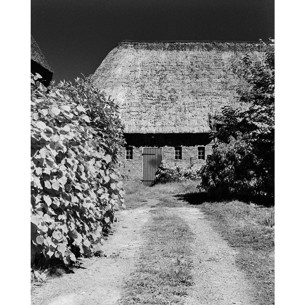 Phim Rollei Infrared ISO 400, Đen Trắng B&W, 135/35mm x 36 Kiểu, In Date Cho Máy Ảnh Chụp Film - LIIQ Flash