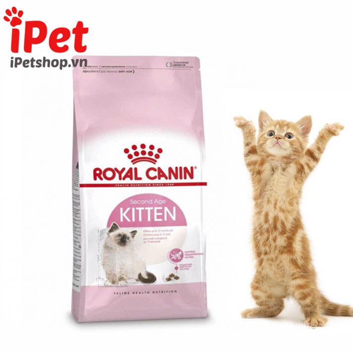 Thức Ăn Hạt Khô Cho Mèo Con Royal Canin Kitten 1kg - iPet Shop