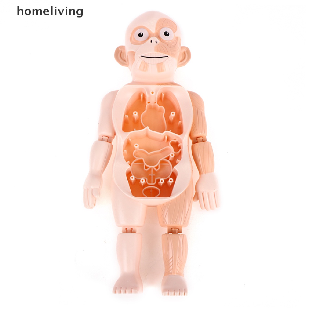 Bộ Đồ Chơi Xếp Hình Cơ Thể Người 3d Montessori