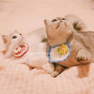 Yếm len handmade cho các pet cưng