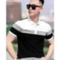 Áo Thun POLO Nam Tay Ngắn Thêu Logo AREMI Cao Cấp Thoáng Mát Co Dãn Tốt ARPL05