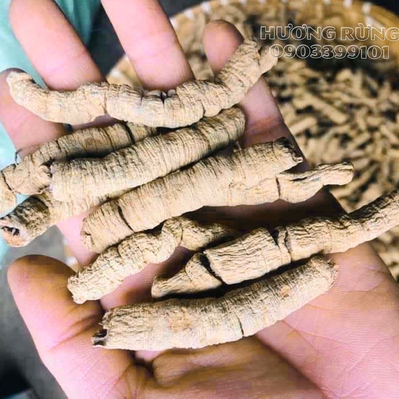 BA KÍCH TÍM 1kg sấy khô đã tách lõi, chuẩn đẹp - Đặc Sản Hương Rừng