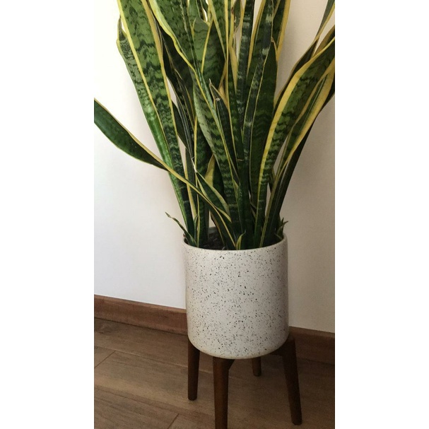 Đôn Để Chậu Hoa Cây Cảnh/Kệ Giá Gỗ Đỡ Chậu Hoa Trang Trí Góc Nhà Kích Thước Cao 19.5cm x Rộng 25cm