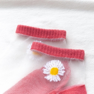  Tất Nữ Thời Trang Daisy