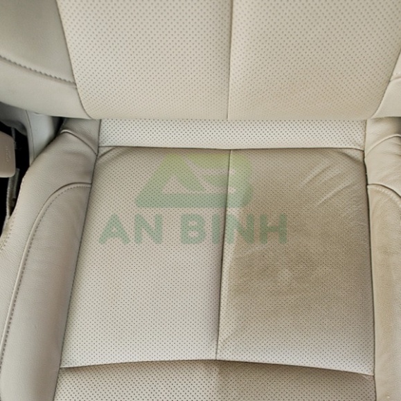 Chai Xịt Tẩy Vệ Sinh Nội Thất Ô Tô Dạng Bọt CAMEL FOAM CLEANER 650ml 🔱 TL Auto 🔱