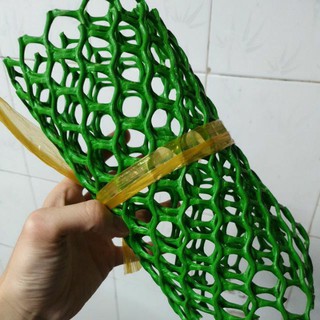 Lưới nhựa lổ lục giác 2cm