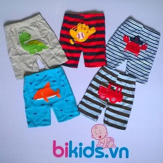 Carter- Quần đùi set 5c cho bé