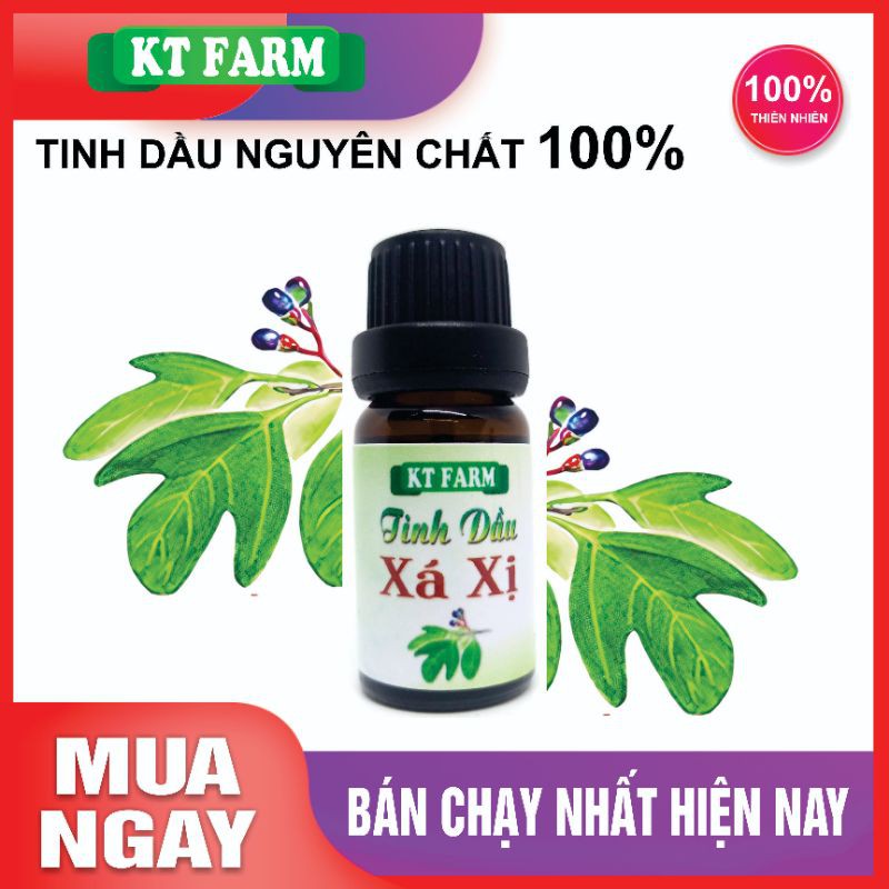 XÁ XỊ - Tinh dầu nguyên chất (10ml)
