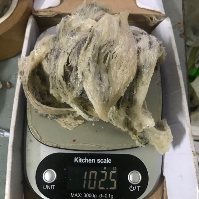 Yến sào thô nguyên tổ Nha Trang, Khánh Hoà 100g +🎁🎁🎁