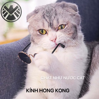  🌈KÍNH CHO MÈO,KÍNH CHO CHÓ HÀNG ĐẸP GỌNG DÀY
