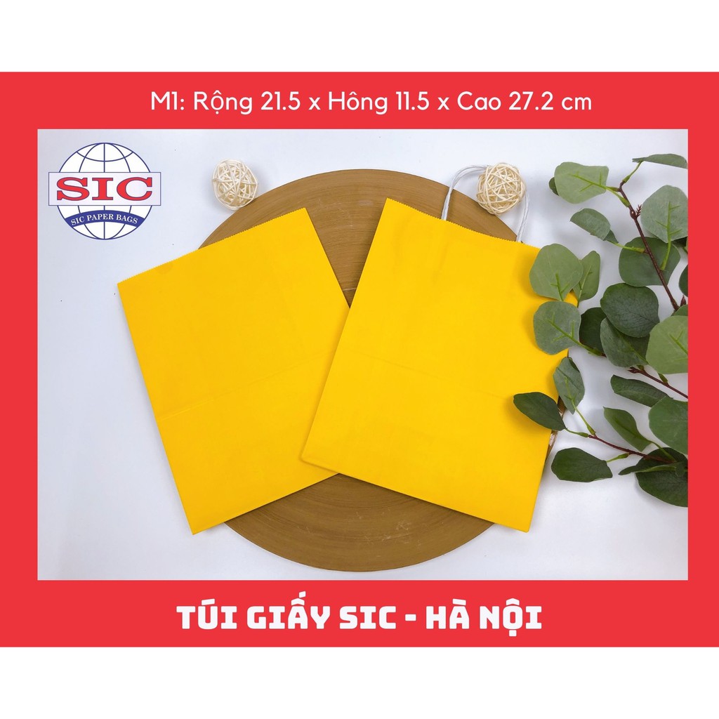 [SET 20 CHIẾC] Túi M01 có quai  (ẢNH THẬT SẢN PHẢM VÀ VIDEO)