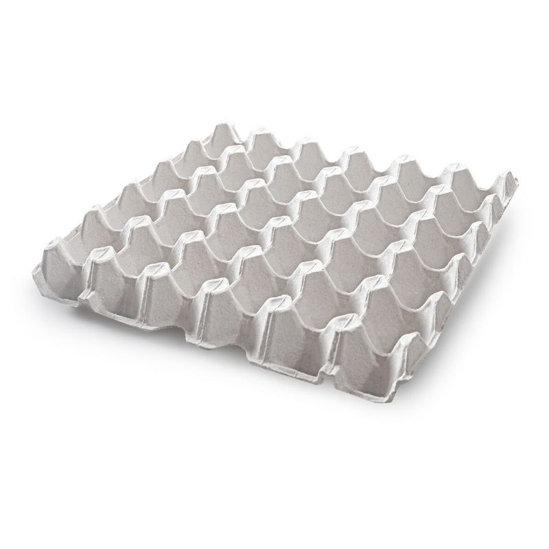 vỉ trứng gà (set/10 cái)