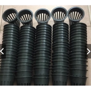 20 chậu nhựa trồng lan cấy mô