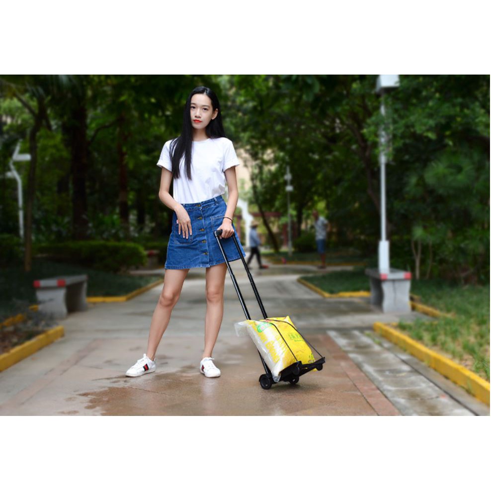 Xe kéo hàng gấp gọn nhập khẩu XKT02 nhựa