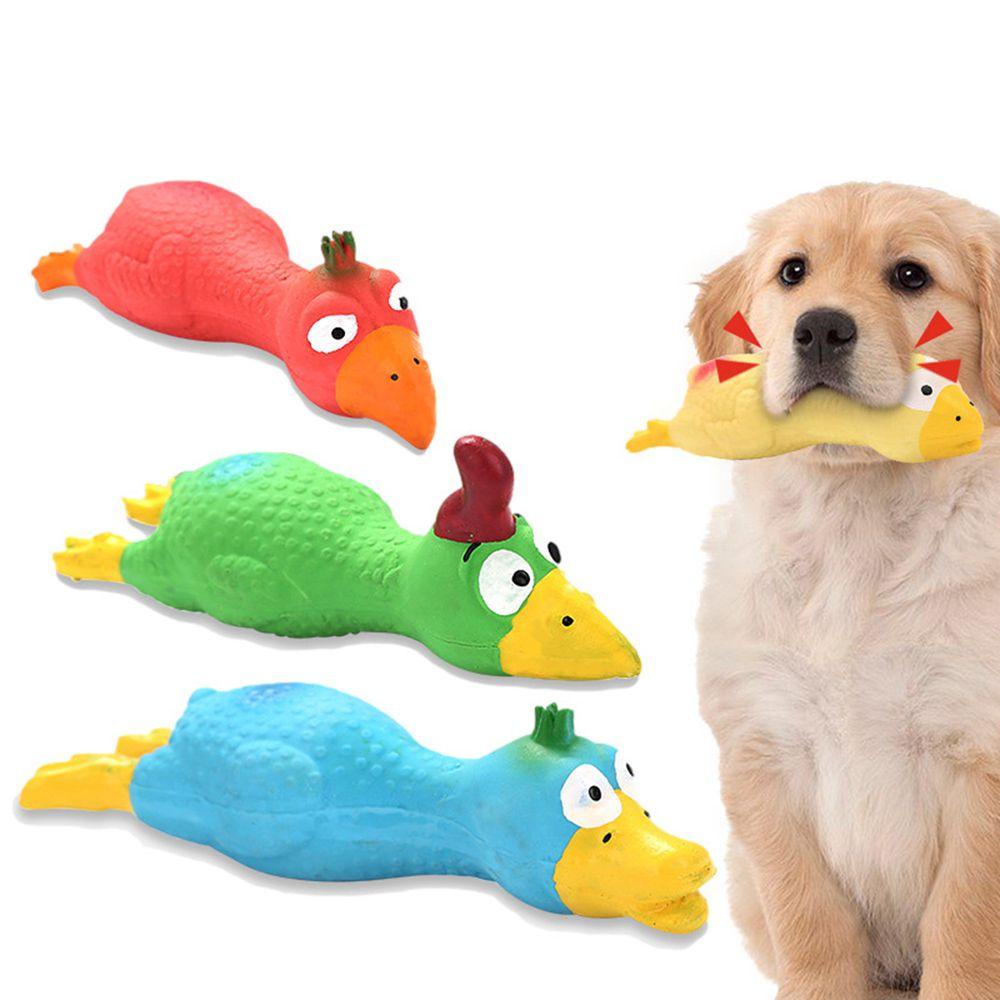 JARRED Đồ Chơi GặM HìNh Con Gà Cho Thú Cưng