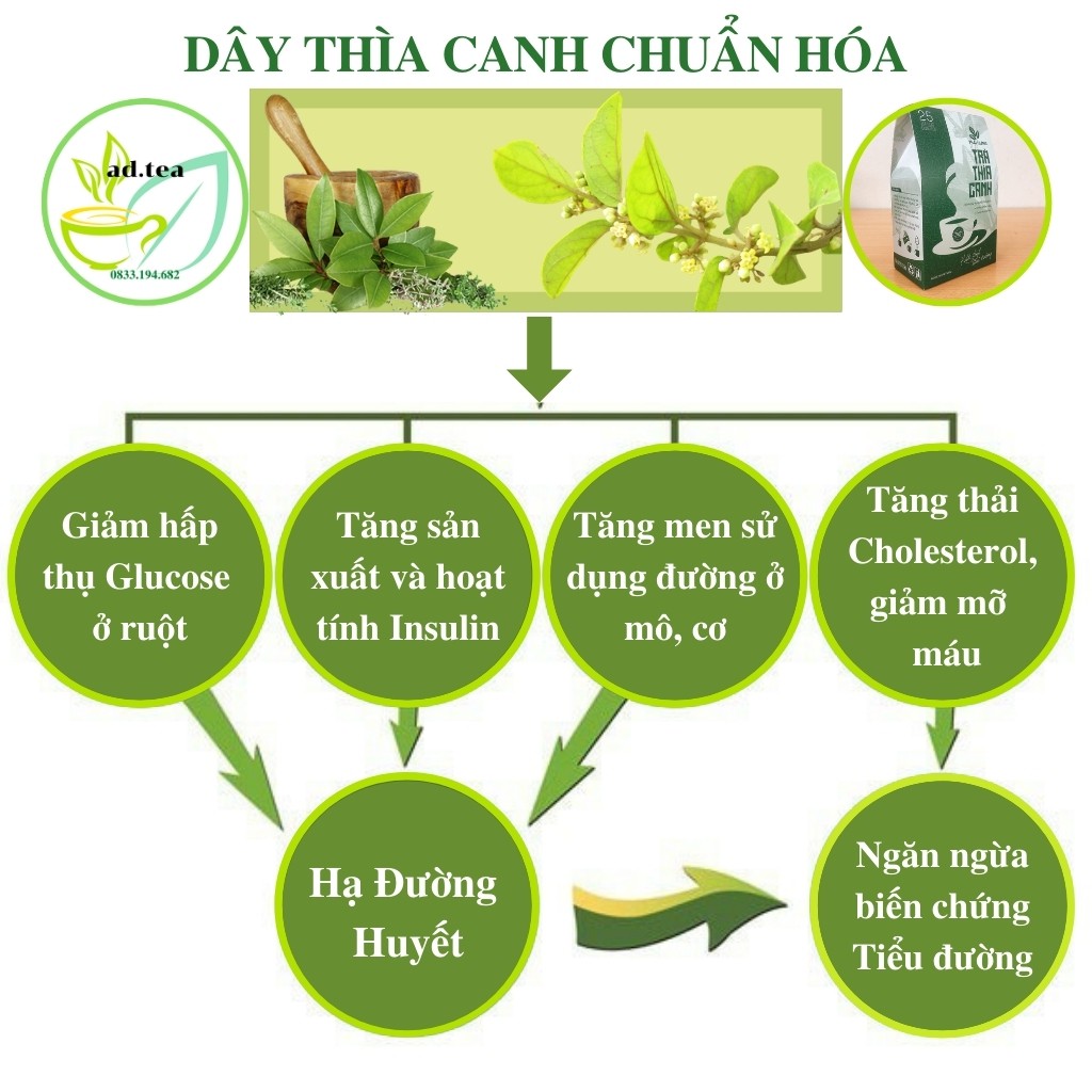 Trà Thìa Canh Thái Hưng - Khắc Tinh Tiểu Đường, Ổn Định Đường Huyết - 25 túi lọc 125gr / ad.tea