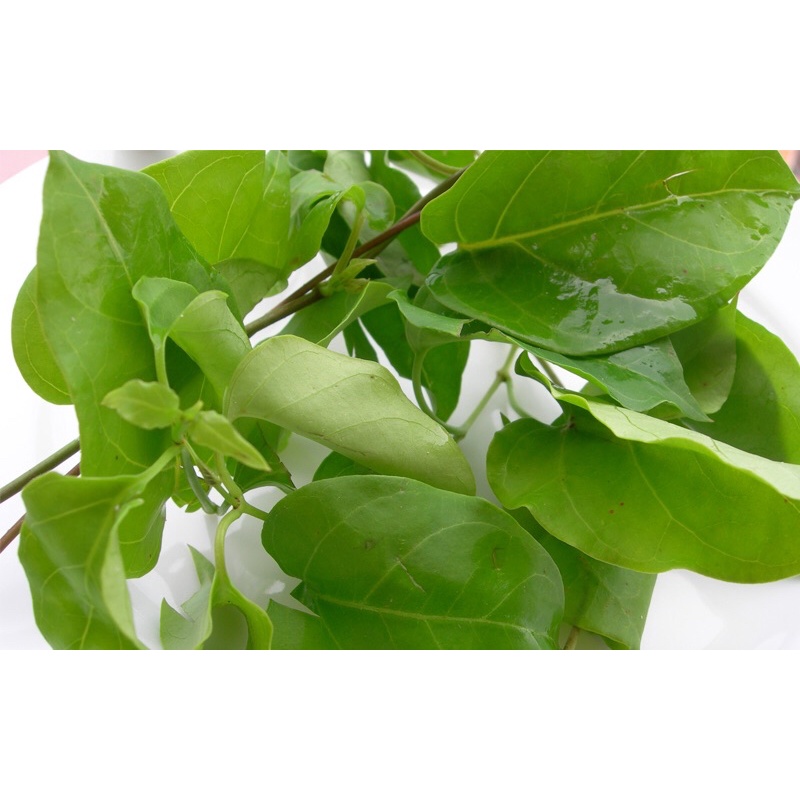 [Nhà trồng] Lá giang tươi nấu canh