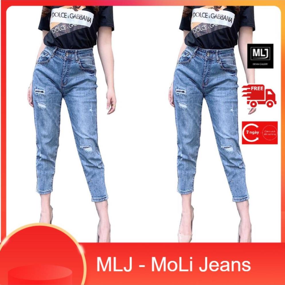 Quần jean dài 9 tấc lưng cao BIGSIZE Lưng cao, rách vá, co dãn mạnh 3866 Molijean ! ,