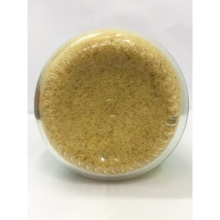 Ruốc bề bề Vân Đồn Bavabi 100g