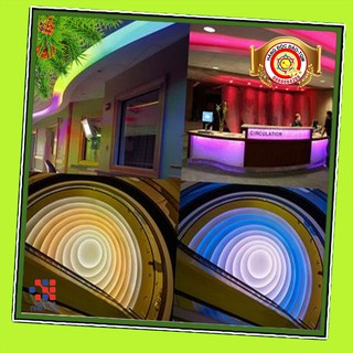 LED dây dán 5050 đơn sắc các màu. Hàng loại 1, dây trần, cuộn dài 5 mét.