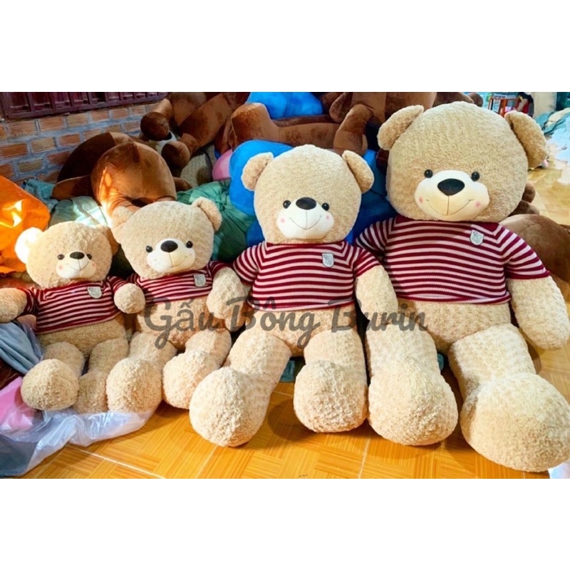 Gấu bông Teddy cao cấp siêu to, teddy lông xoắn hoa hồng mịn