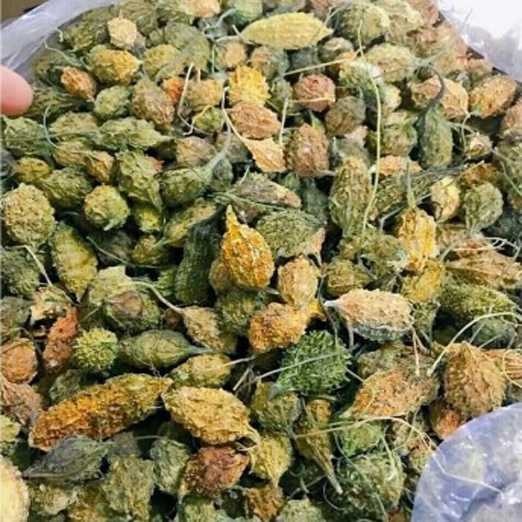 Khổ qua rừng  nguyên trái sấy khô OCHASHOP túi zip 100gr, Hỗ trợ tiểu đường hiệu quả