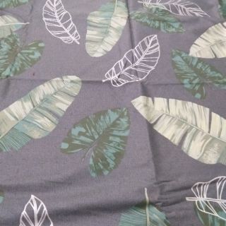 Vải thô lụa Hàn Quốc khổ m6