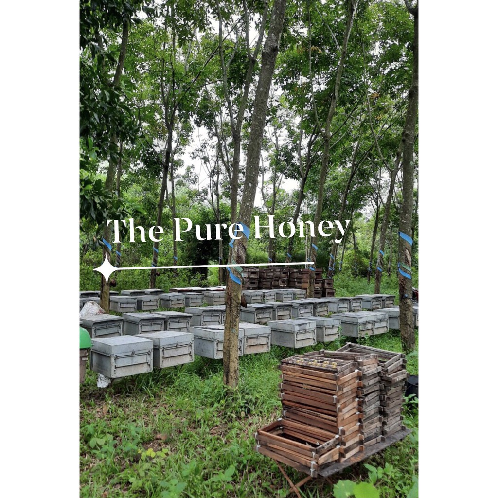 MÂT ONG HOA NHÃN NGUYÊN CHẤT THE PURE HONEY