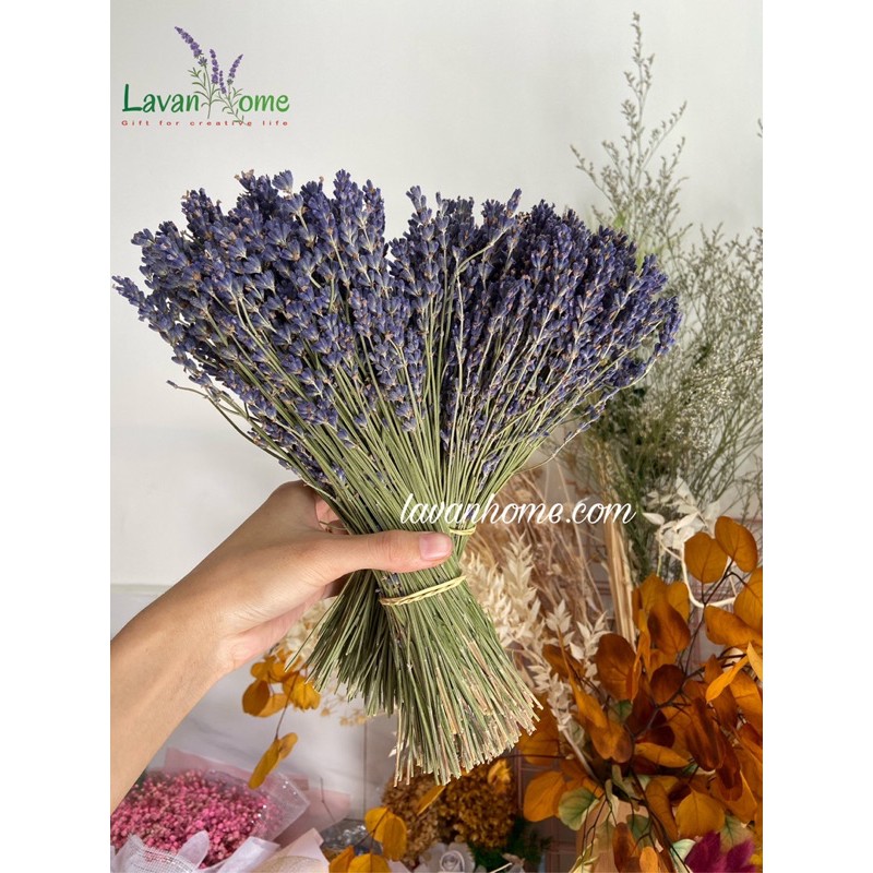 Hoa khô lavender (hoa oải hương) Pháp - Cam kết hoa đúng chất lượng