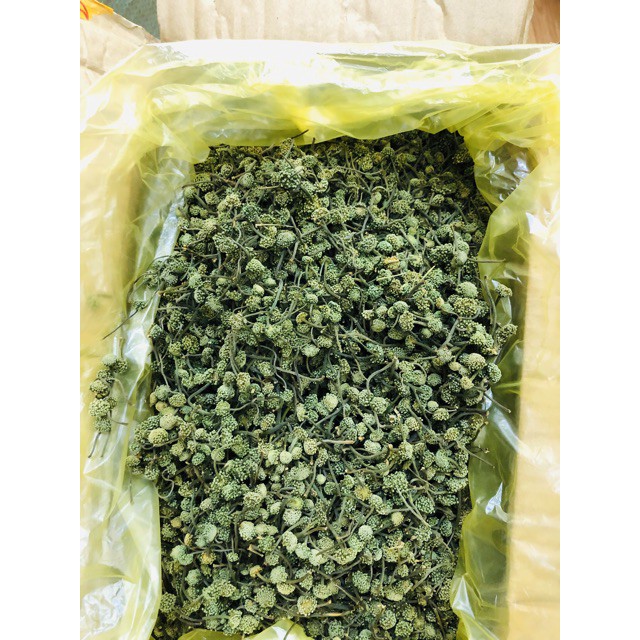 500g Nụ Hoa Tam Thất (Túi Zip)