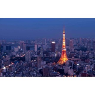 Mô Hình Kim Loại Lắp Ráp 3D Tháp Tokyo - Nhật Bản