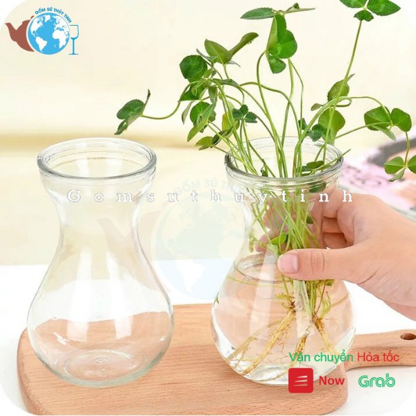 Lọ hoa thủy tinh/ Bình hoa thủy tinh miệng loe trang trí, trồng thủy sinh | BigBuy360 - bigbuy360.vn