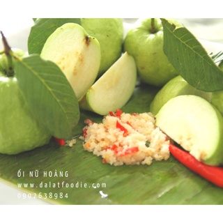 [NOWSHIP]  Ổi nữ hoàng giòn ngọt (1kg-3kg)