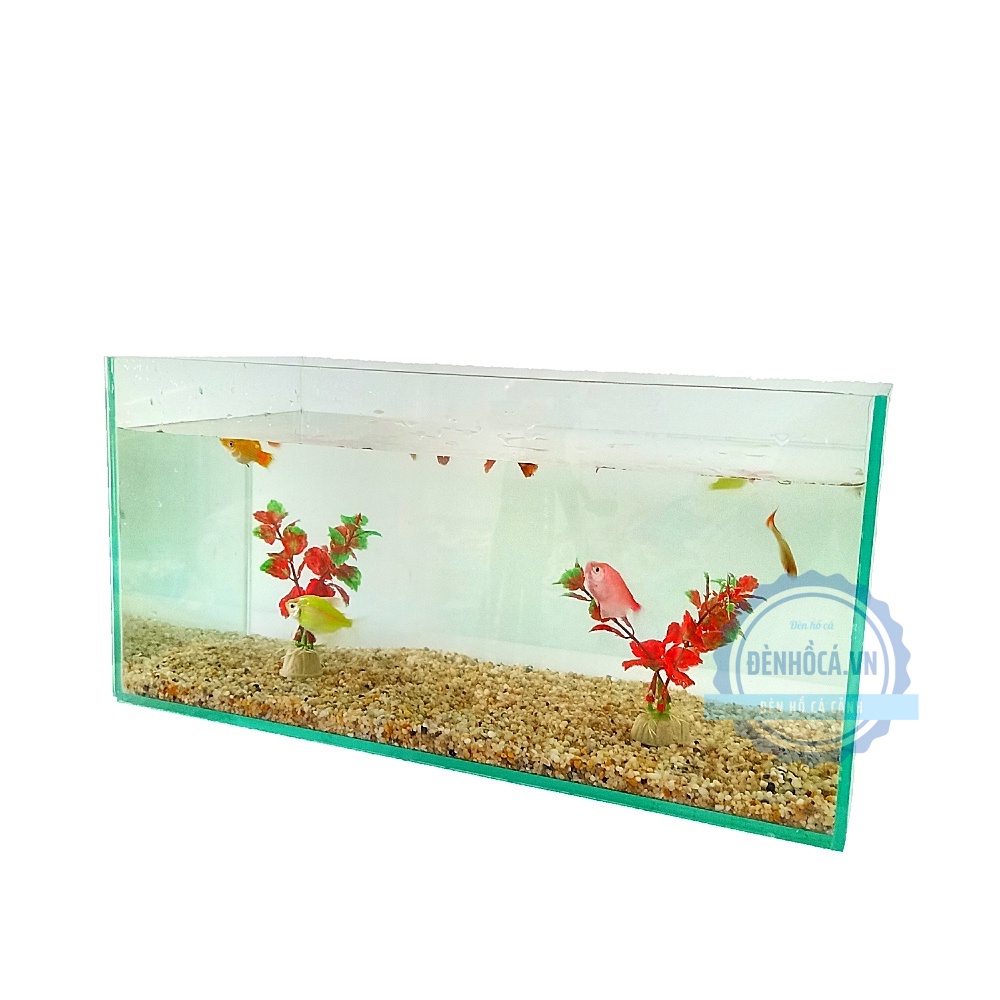 Bể cá mini D40cm x R20cm x C20cm tặng kèm phụ kiện
