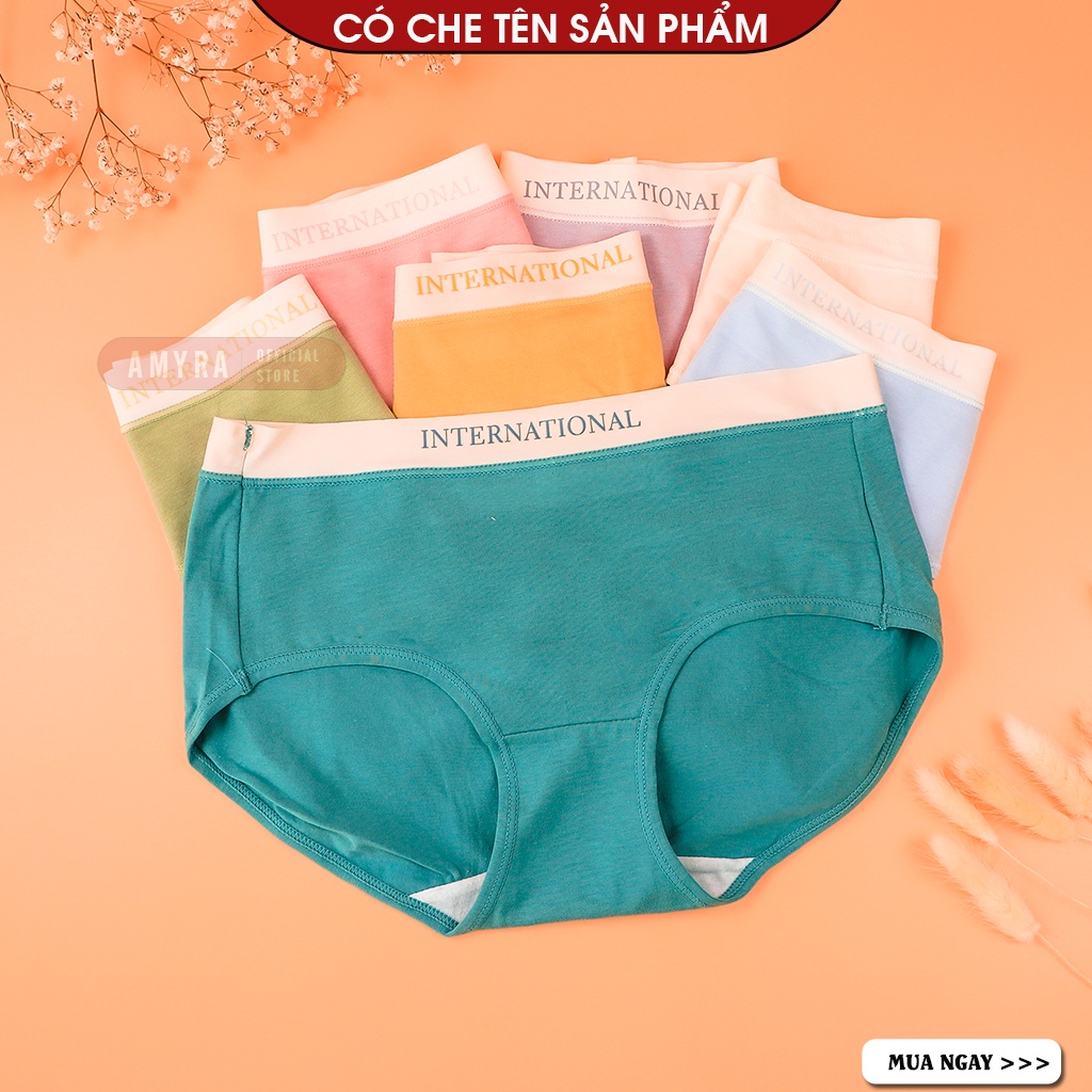 Quần lót nữ cotton cao cấp cạp su AMYRA đẹp thun lạnh không lộ viền đường may kháng khuẩn 7 màu basic bigsize  QL038