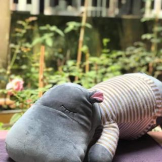 (Bán buôn) Gấu bông hà mã Bobby 60cm