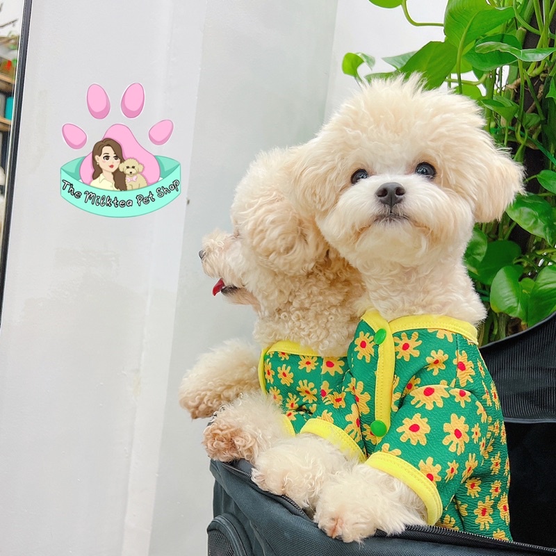 Áo hoa cao cấp Hàn Quốc cho chó mèo thú cưng