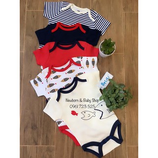 Set 5 body cộc tay Beliti Cá mập