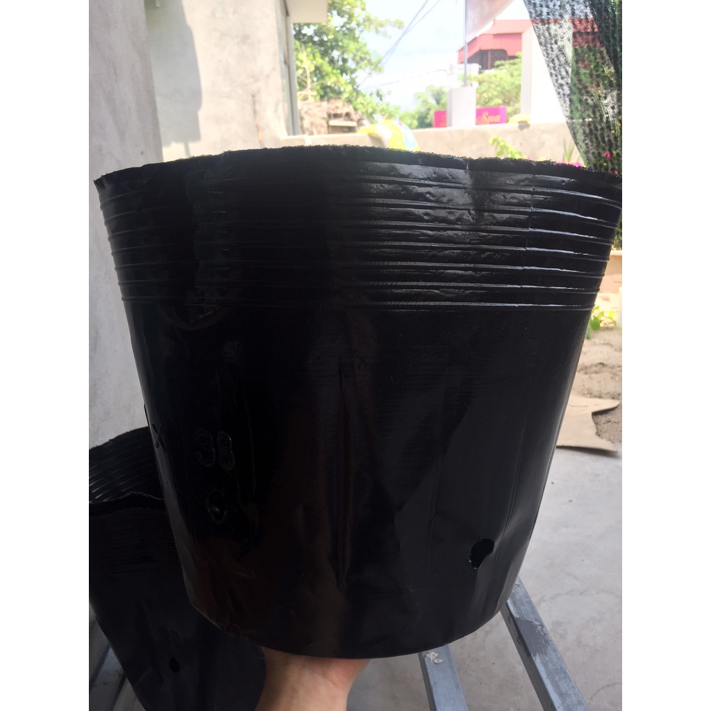 BẦU ƯƠM CÂY 40*33 ( DỊCH TRUYỀN CHO CÂY, KÍCH RỄ , MẦM CÂY XANH LÁ, LƯỚI CHE NẮNG...)