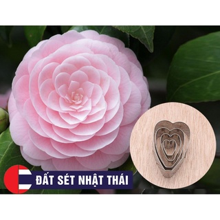 KHUÔN HOA ĐẤT SÉT TRÀ HOA NỮ CAMELIA CUTTER - DẠY LÀM HOA ĐẤT SÉT, HOA ĐƯỜNG, XÔI HOA ĐẬU