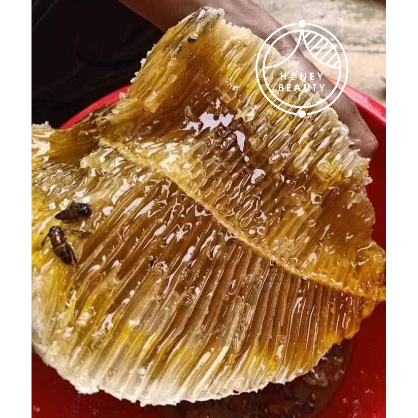 Mật ong rừng nguyên chất ❤️ONG KHOÁI❤️ Tây Nguyên thượng hạng Honey Beauty 500ml