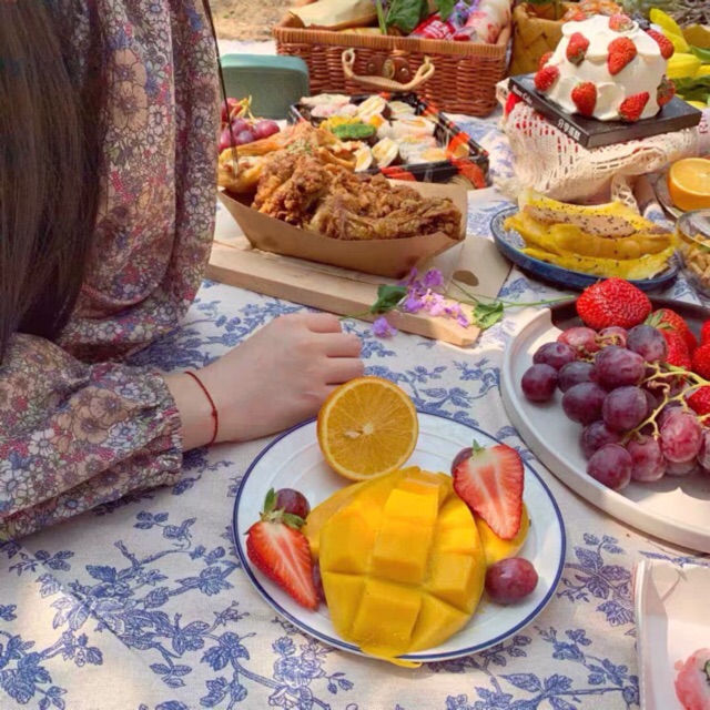 Khăn trải bàn trang trí hoa xanh Retro, thảm vải canvas picnic, vải nền chụp ảnh - Décor nhà Sò