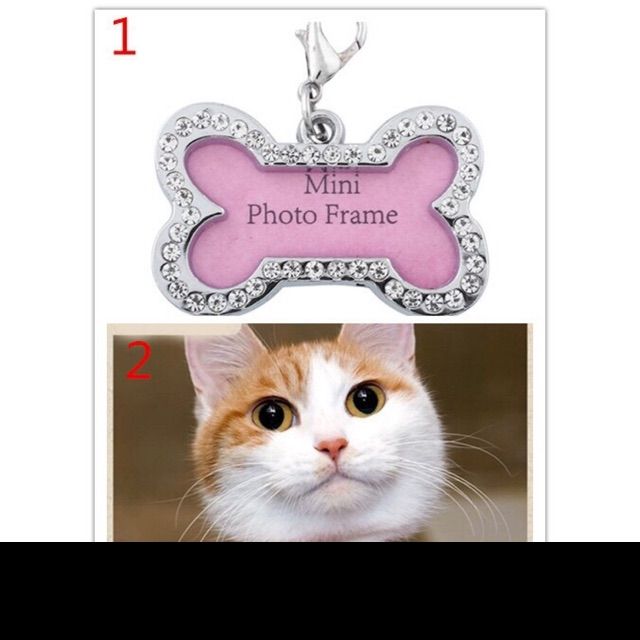 Bảng tên thú cưng