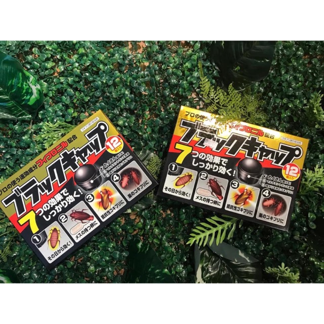 THUỐC DIỆT DÁN NHẬT BẢN vỉ 12 viên