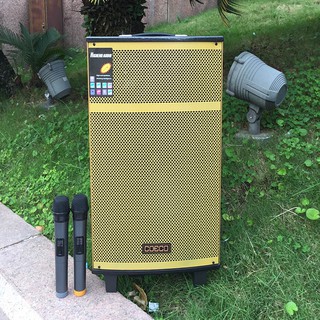 Loa kéo va li coeco -312 tặng 2 micro không dây