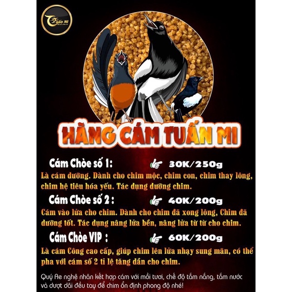 CÁM CHOÈ CĂNG LỬA SỐ 2 TUẤN MI